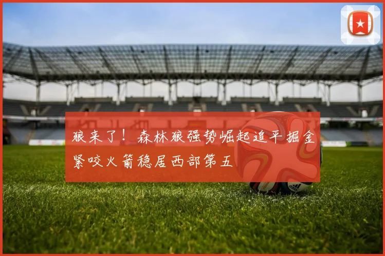 狼来了！森林狼强势崛起追平掘金紧咬火箭稳居西部第五
